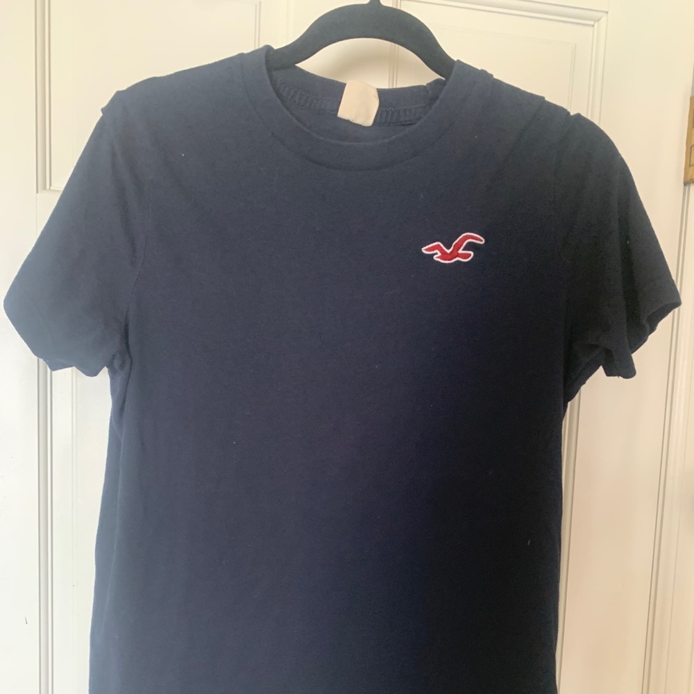 Hollsiter Mens Shirt (size large)